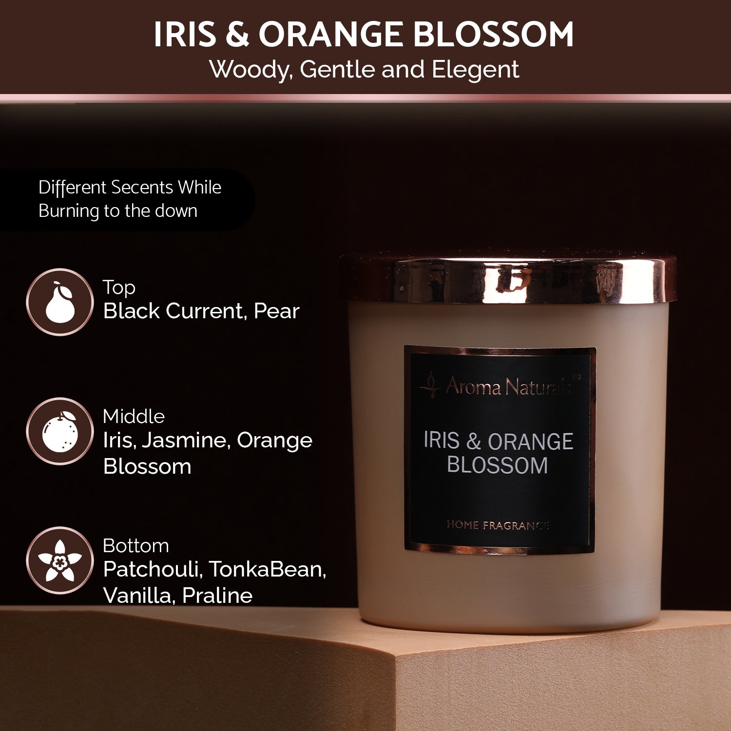 Soy Wax Scented Candles